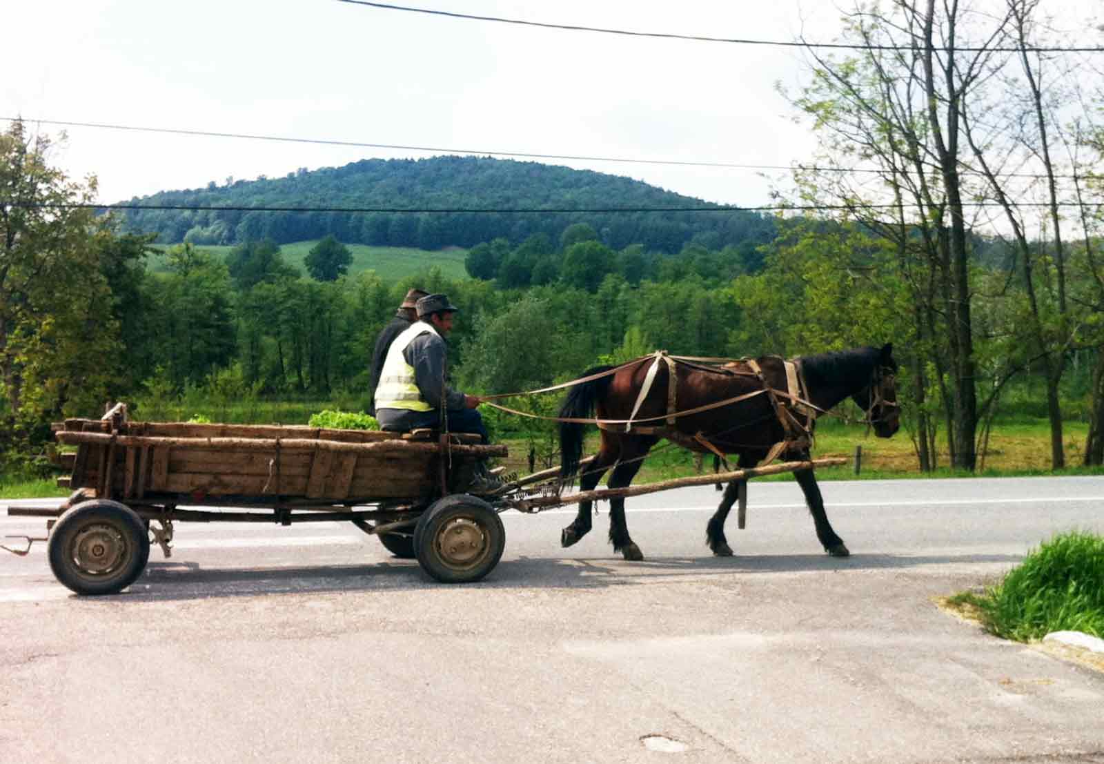 Romania Horse And Cart Uk